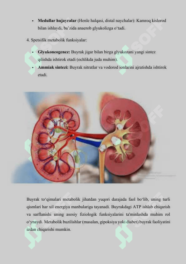 Buyrakni energiya bilan taminlanishi mustaqil ish 3