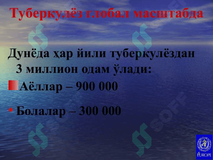 Туберкулёз эпидемиологияси,  патогенези ва иммунитет феноменлари. 5