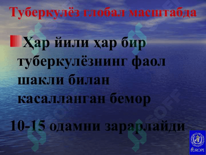 Туберкулёз эпидемиологияси,  патогенези ва иммунитет феноменлари. 6