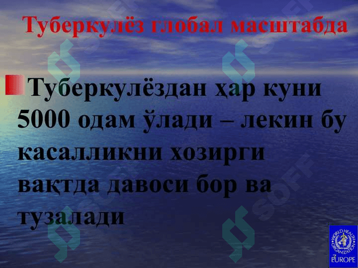 Туберкулёз эпидемиологияси,  патогенези ва иммунитет феноменлари. 7