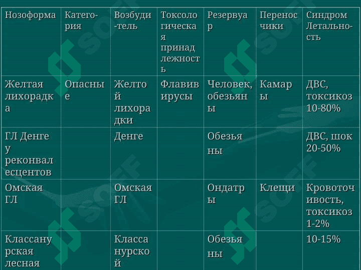 Геморрагические лихорадки 6