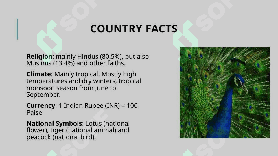 Fascinating INDIA 3