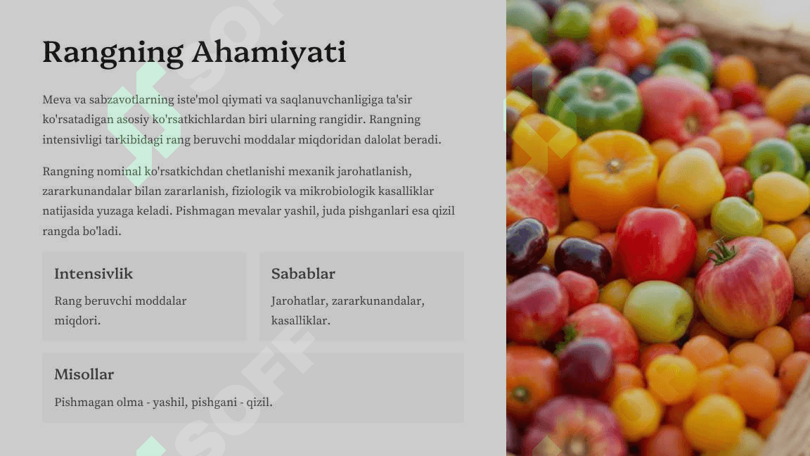 Sabzavot va mevalar mahsulotlarini  ekspertizasi 4