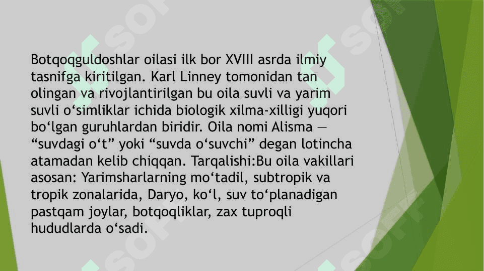 Botqoqguldoshlar oilasi 2