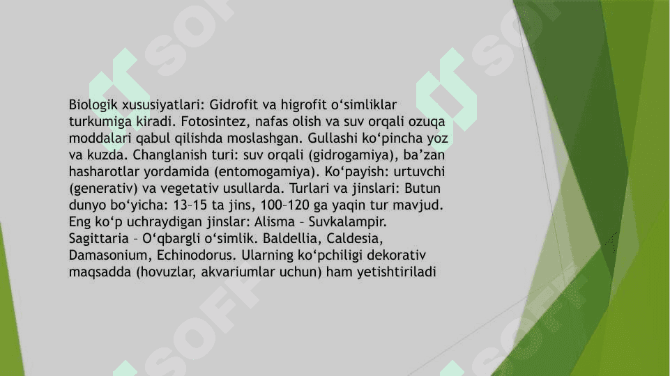 Botqoqguldoshlar oilasi 4