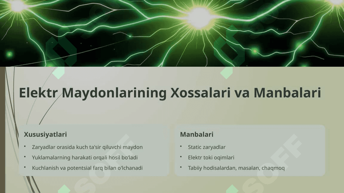 Elektr va Magnit Maydonlari va Ularni Tirik Organizmlarga Tasiri 4