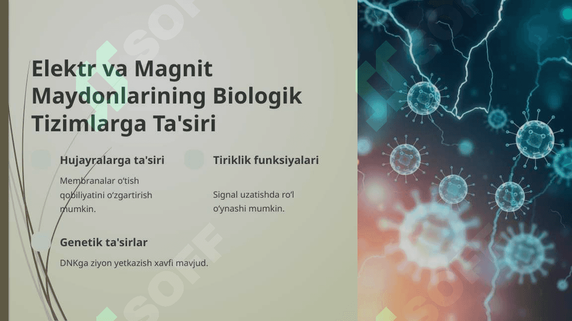 Elektr va Magnit Maydonlari va Ularni Tirik Organizmlarga Tasiri 6