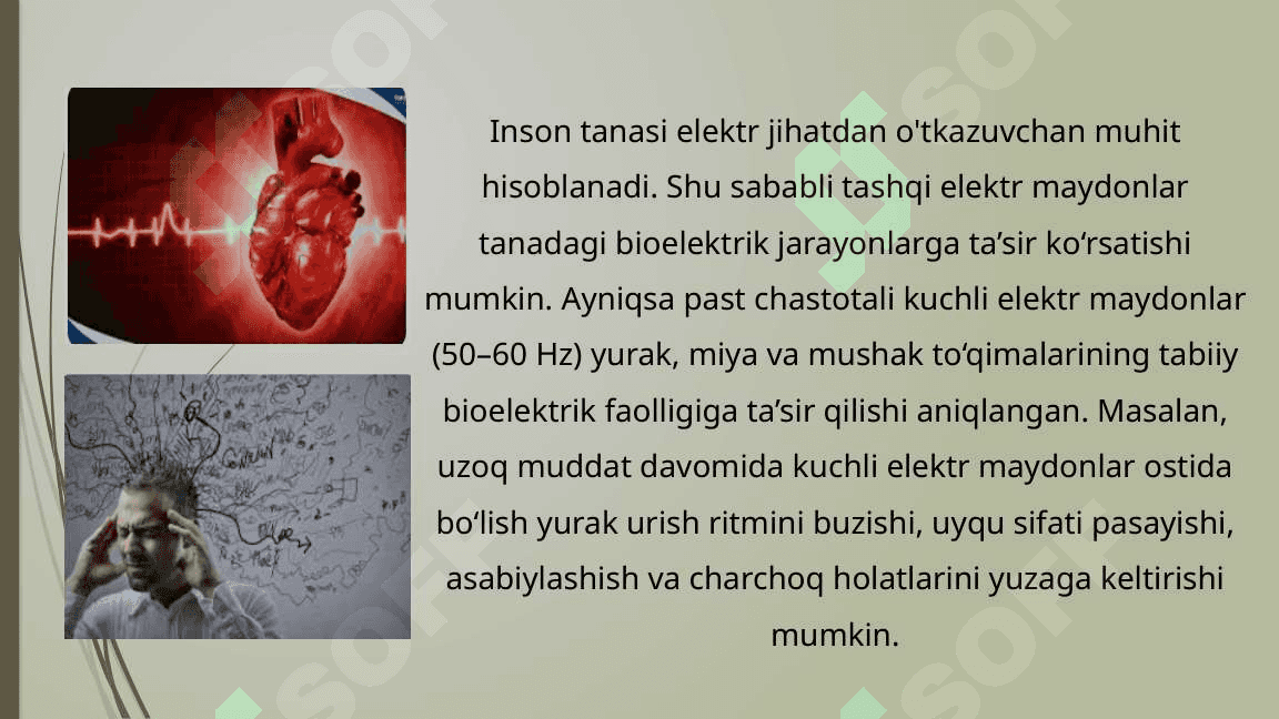 Elektr va Magnit Maydonlari va Ularni Tirik Organizmlarga Tasiri 8