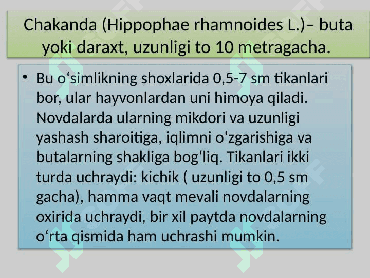 Jumurutsimon chakanda 6
