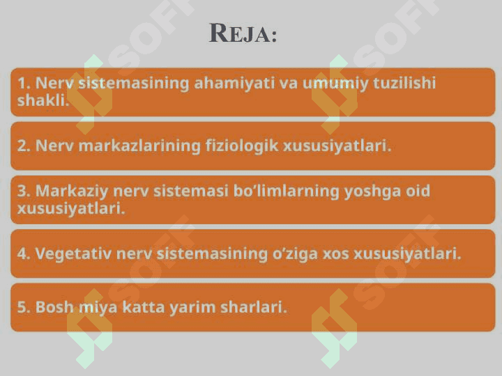 NERV TIZIMINING UMUMIY TUZILISHI VA YOSH XUSUSIYATLARI 2