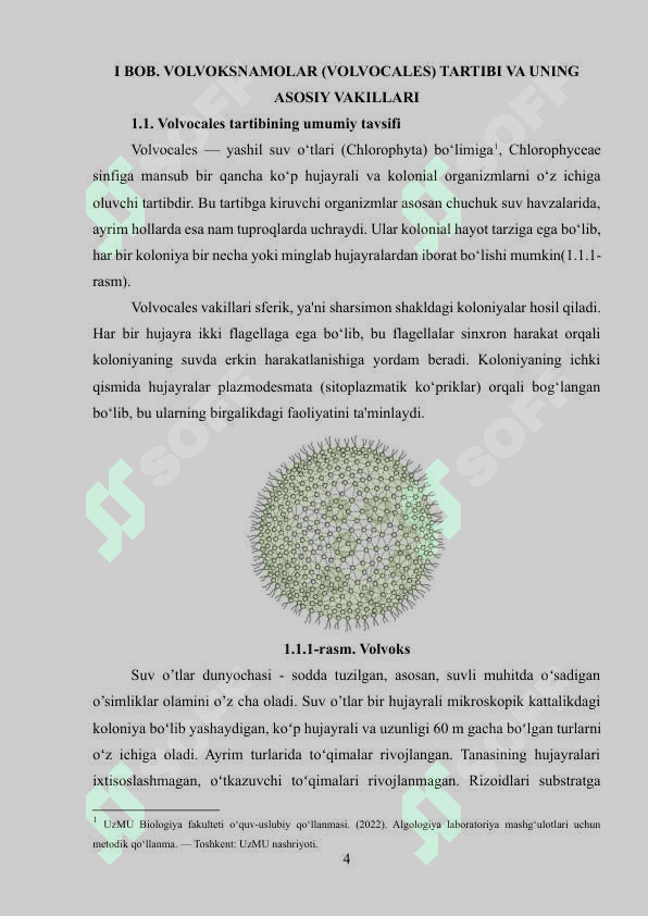 Volvoksnamolar-volvocales tartibi va uning asosiy vakillari. Tuzilishi va ko'payishi 4