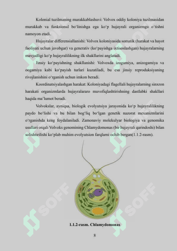Volvoksnamolar-volvocales tartibi va uning asosiy vakillari. Tuzilishi va ko'payishi 8