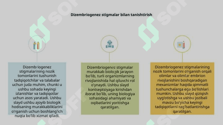 Dizembriogenez stigmalar 2