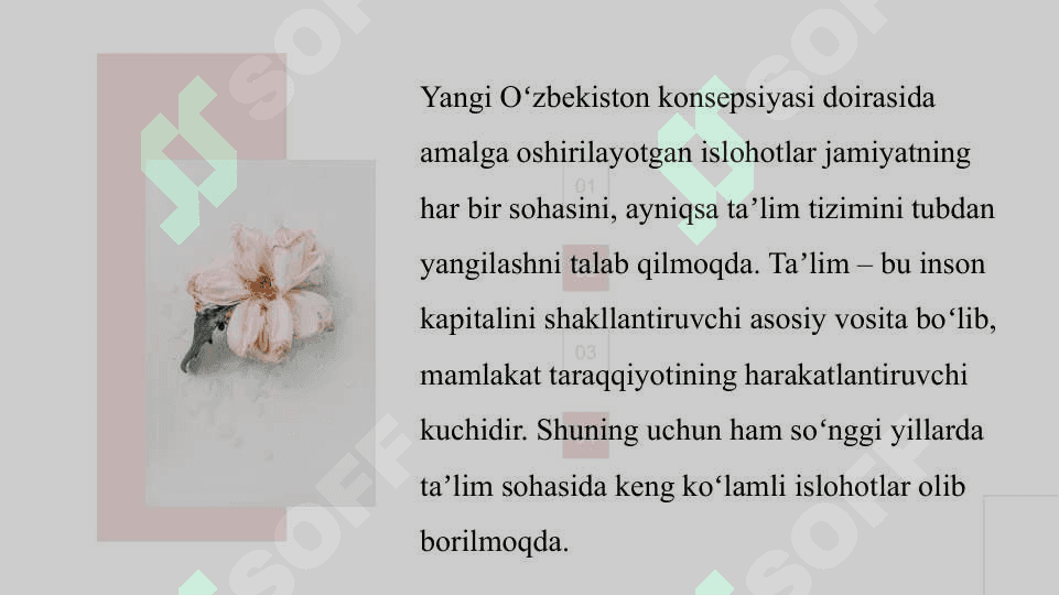 Yangi Oʻzbekistondagi taʼlim tizimida islohotlar 2
