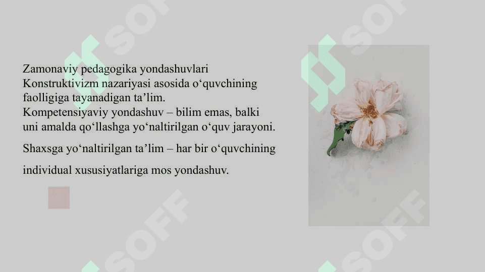 Yangi Oʻzbekistondagi taʼlim tizimida islohotlar 3