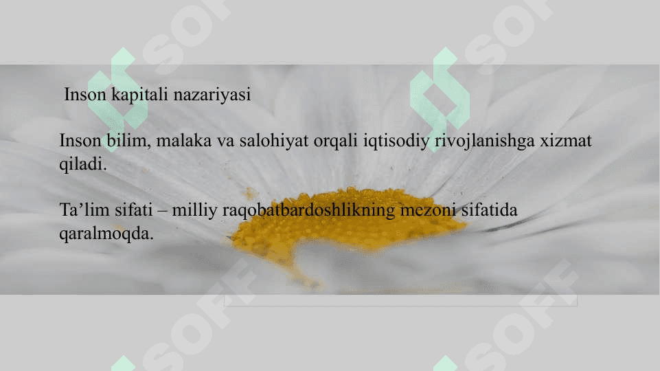 Yangi Oʻzbekistondagi taʼlim tizimida islohotlar 4