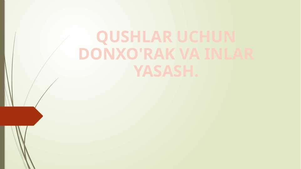 QUSHLAR UCHUN DONXO'RAK VA INLAR YASASH. 1