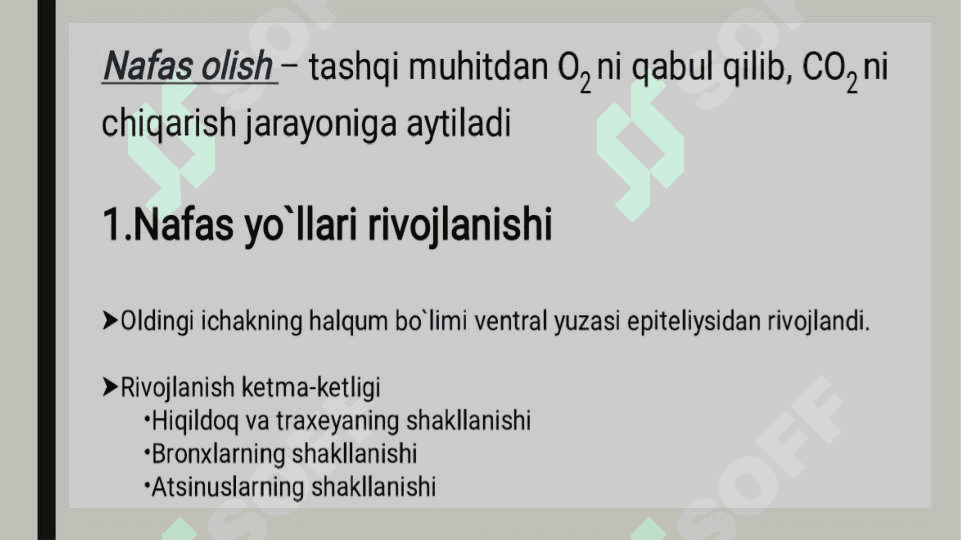 Nafas olish tizimi aʼzolarining qiyosiy gistologik  tavsifi 3