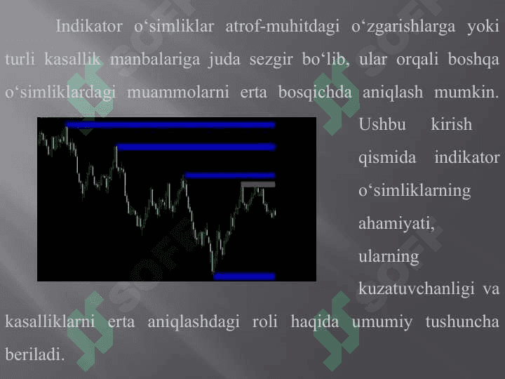Indikator oʻsimliklar orqali oʻsimlik kasalliklarini aniqlash 3