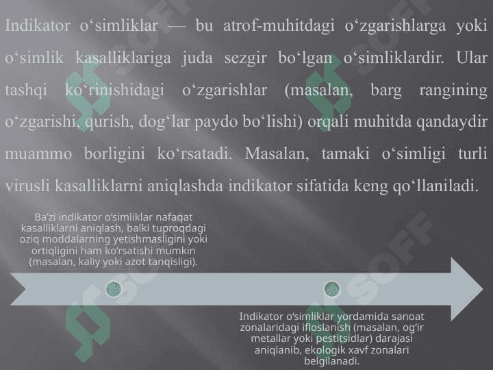 Indikator oʻsimliklar orqali oʻsimlik kasalliklarini aniqlash 7