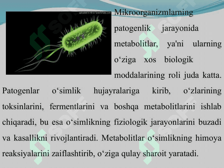 Mikroorganizmlar ta'sirida o'simliklarda patogenlikning yuzaga kelishi va patogenlik jarayonida metabolitlarning roli 5
