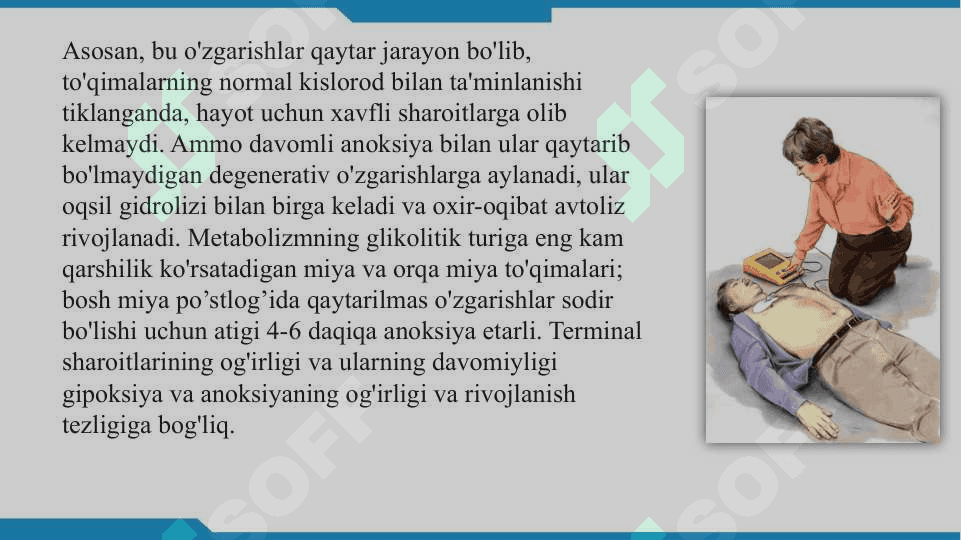 Terminal holatlar 4