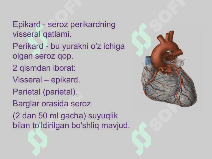 Perikard kasalliklari. Yurak o'smalari. Yurak trasplantologiyasi 3
