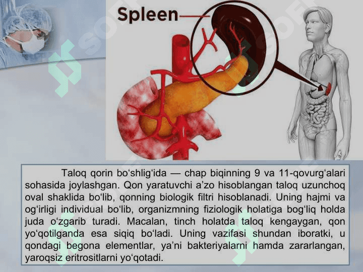 Taloqning tug‘ma anomaliyalari o‘smalari. Timusning rivojlanishidagi buzilishlar 2