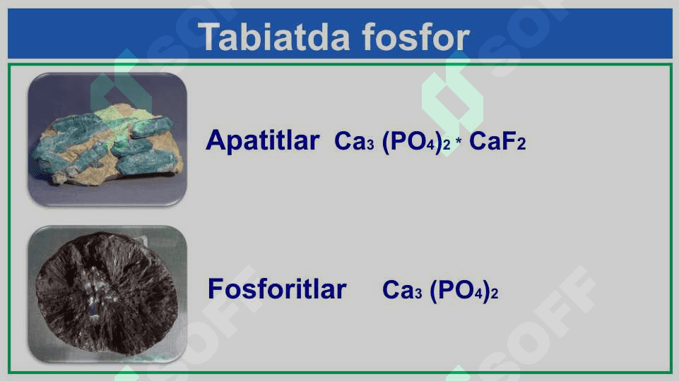 Fosfor 6