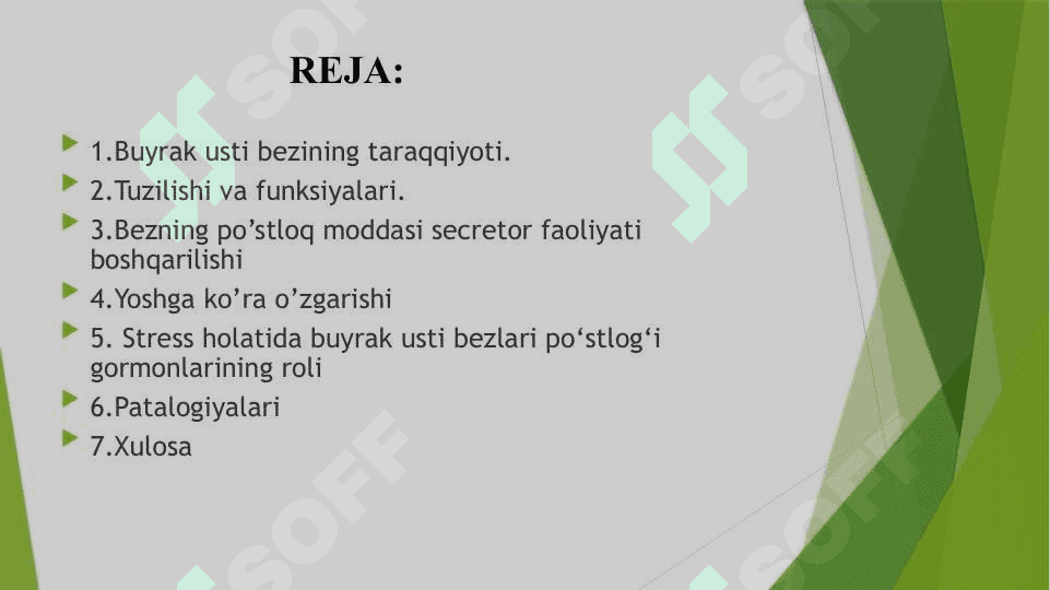 Buyrak usti bezi va steress holatida buyrak usti bezining garmonlarining roli 2