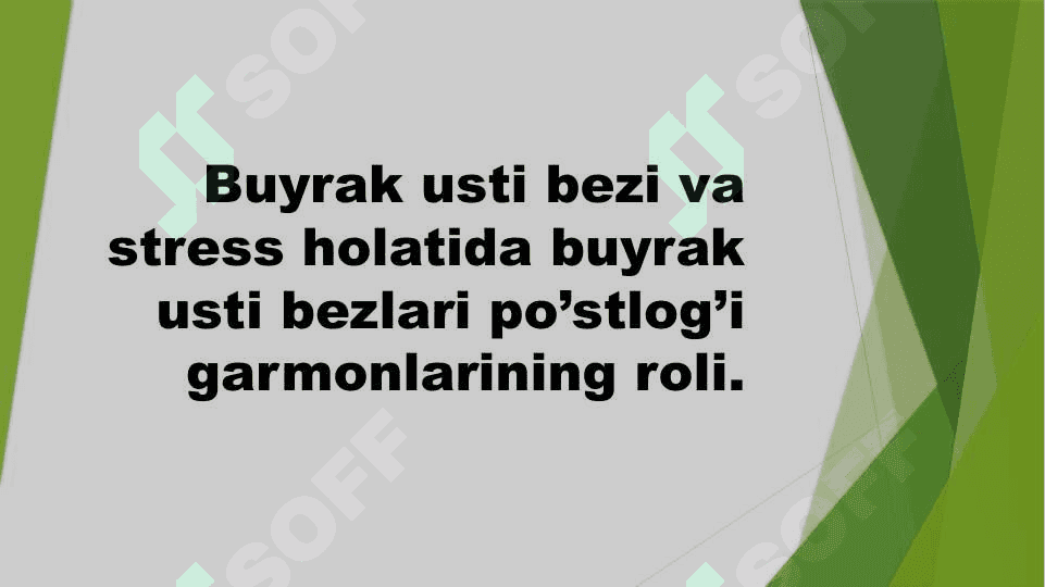 Buyrak usti bezi va steress holatida buyrak usti bezining garmonlarining roli 3