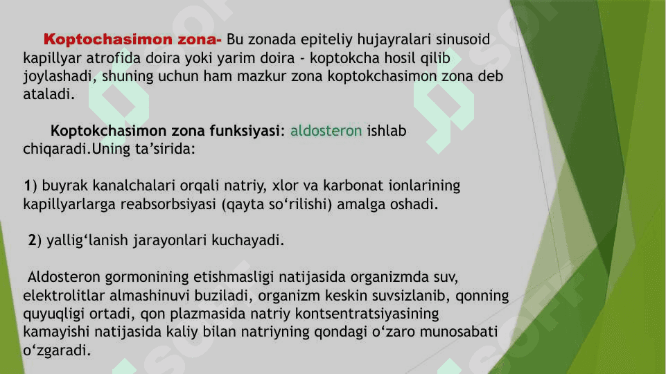 Buyrak usti bezi va steress holatida buyrak usti bezining garmonlarining roli 7