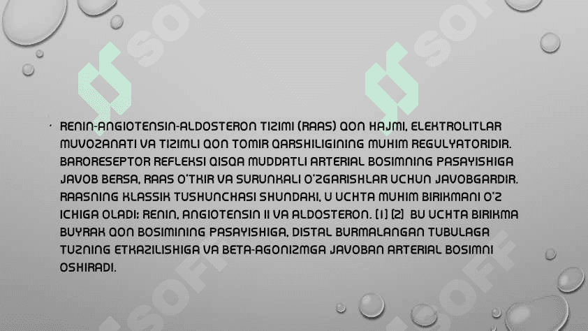 Renin-angiotenzin sistemasiga tasir etuvchi yangi dori vositalari. 2