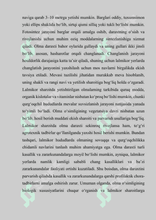 Olma o'simligi biologiyasi 7