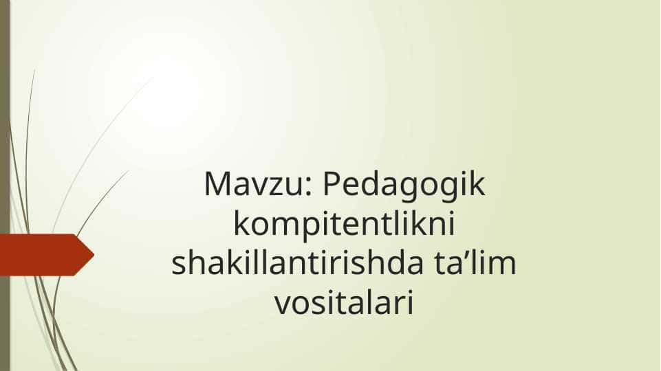 Pedagogik kompitentlikni shakillantirishda ta’lim vositalari