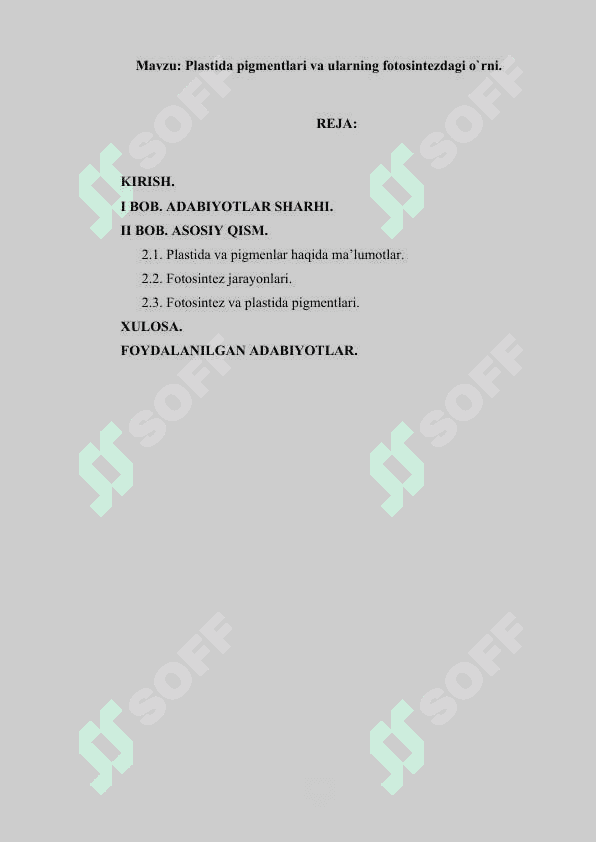 Plastida pigmentlari va ularning fotosintezdagi o’rni.docx 2