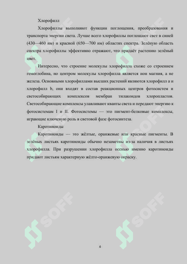 Темновая фаза фотосинтеза.docx 6