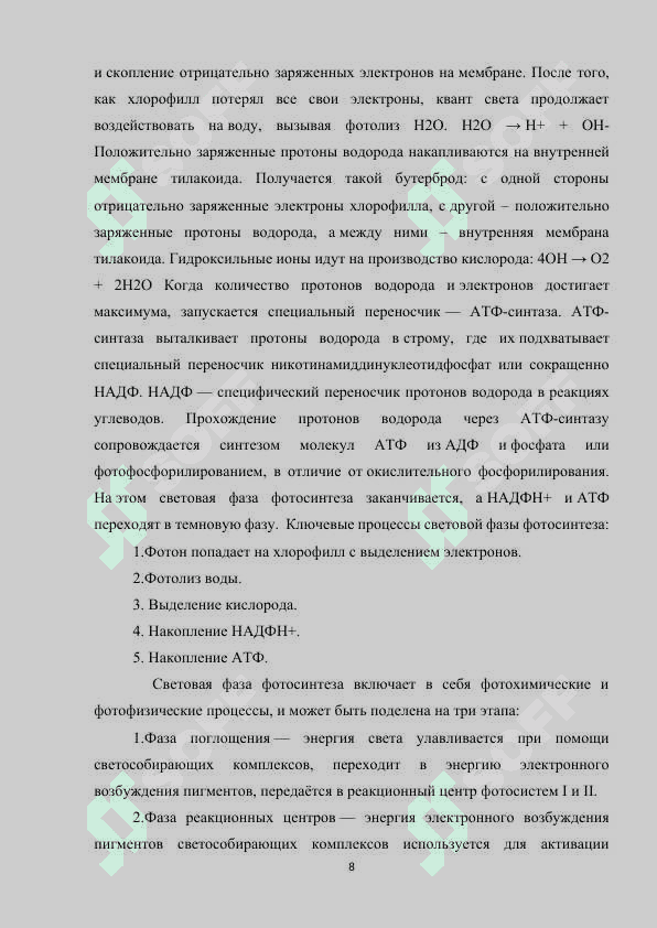 Темновая фаза фотосинтеза.docx 8