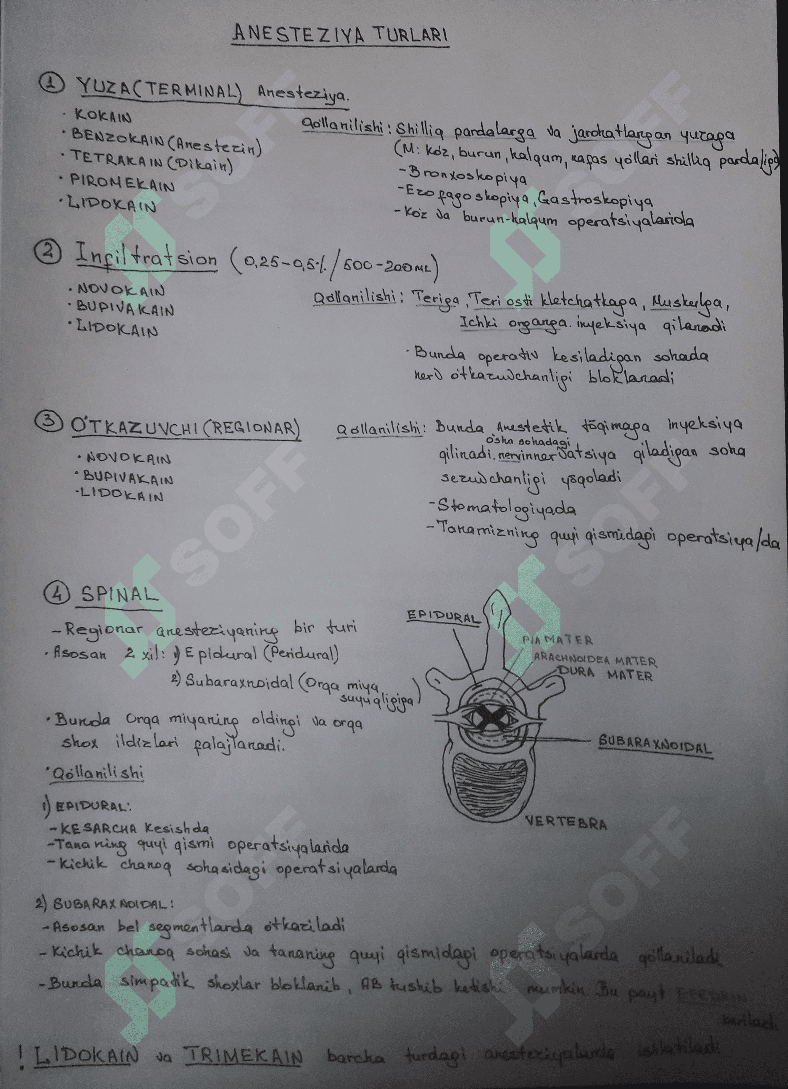 Afferent system. 3