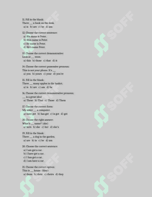 grammar tests for beginner. BEGINNER TESTS 2