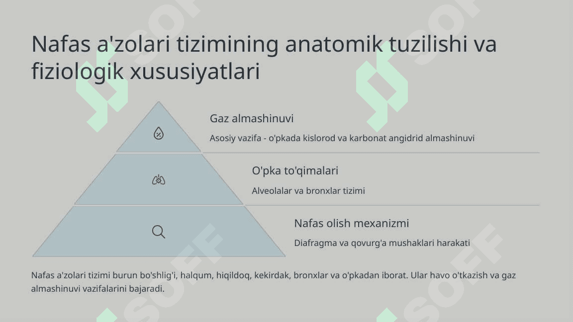 Nafas a'zolarining rivojlanishiga tashqi biologik va ijtimoiy omillar ta'siri 3