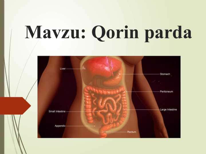 Qorin parda