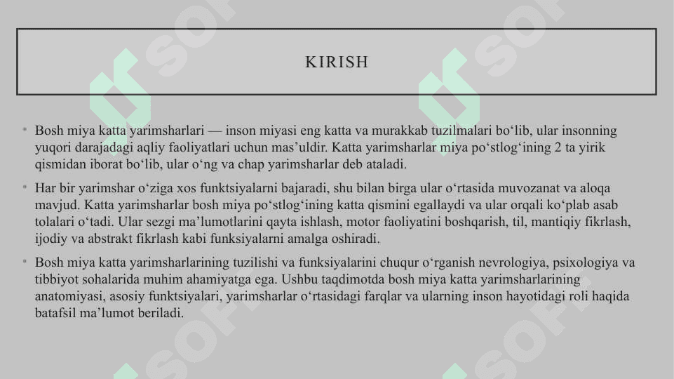 Bosh miya katta yarimsharlari 2