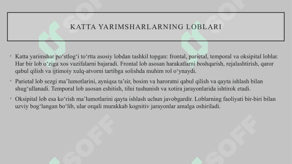 Bosh miya katta yarimsharlari 6