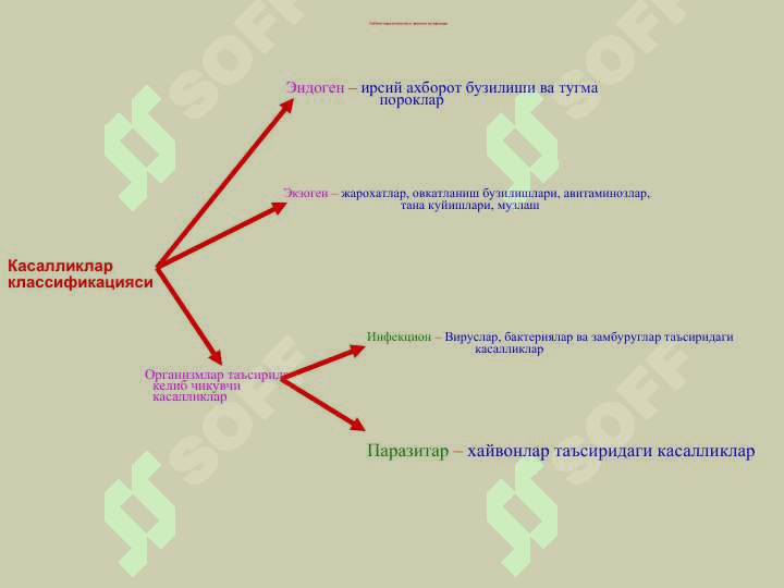 Тиббий паразитология. 4