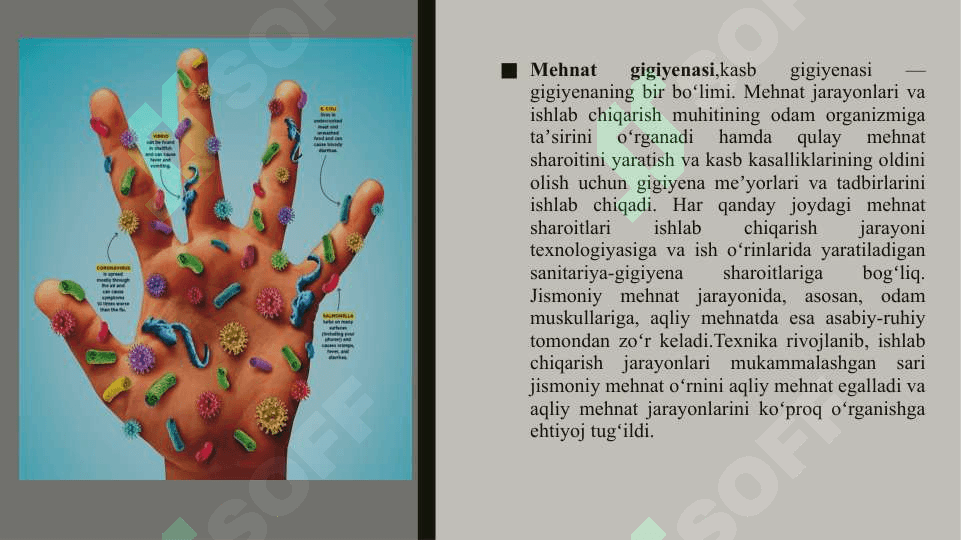 Mehnat gigiyenasi me’yorlari 2