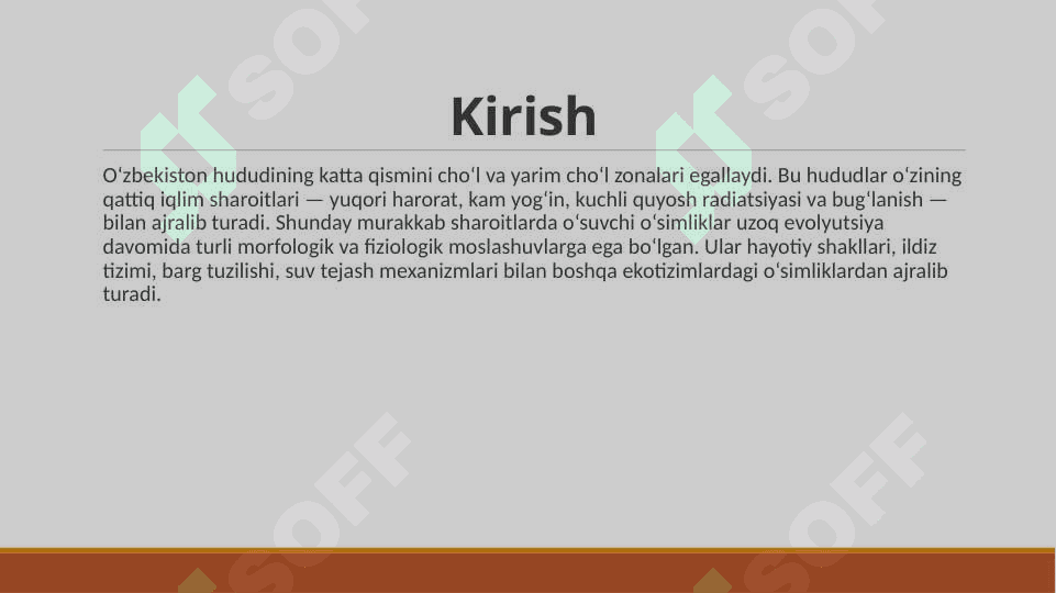 O‘zbekiston cho‘l mintaqasida o‘suvchi o‘simliklar 3
