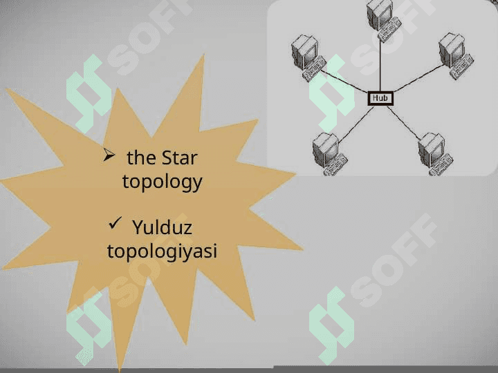 TYPES OF NETWORK 4