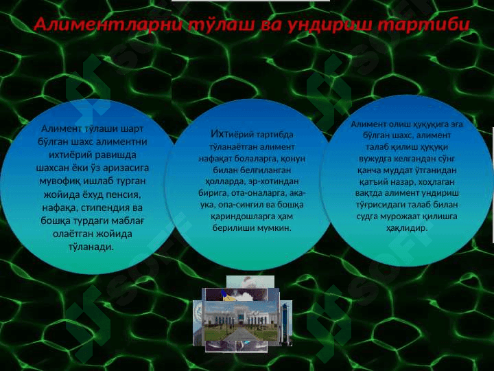 Aliment to'lash to'g'risidagi kelishuv 4