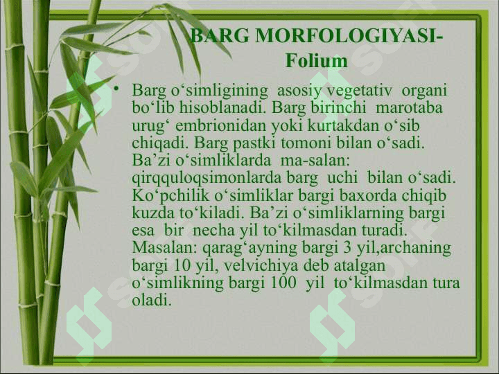 Barglarning morfologik va anatomik tuzilishi. 2
